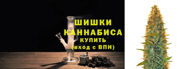 стаф Козловка