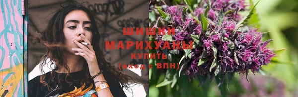 стаф Козловка