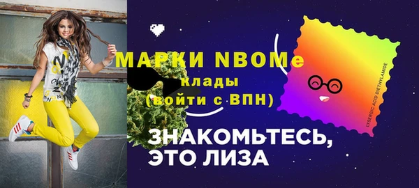 стаф Козловка