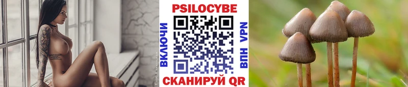 Псилоцибиновые грибы Psilocybine cubensis  Купить  Зеленогорск 