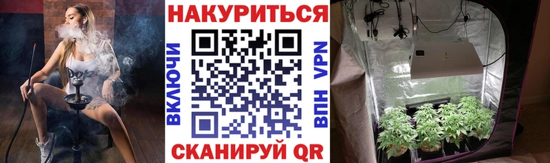 Купить  Зеленогорск  Бошки марихуана Ganja 